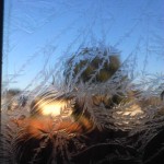 IMG_20121219_154156